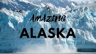 AMAZING ALASKA Short Film 4k [upl. by Melnick]