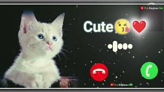 Cute message ringtone  SMS ringtone  trending love ringtone  best message tonenewringtone [upl. by Sivad]