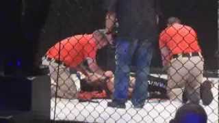 Herman Oberholzer vs Sean Santana 11 seconds Knockout Pro MMA fight [upl. by Hummel]