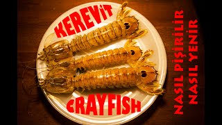 KEREVİT NASIL PİŞİRİLİR VE YENİR  HOW TO COOK AND EAT CRYFISH OR CRAWFISH OR MANTIS SHRIMP [upl. by Belmonte559]