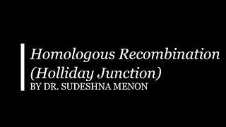 Homologous Recombination Holliday Junction [upl. by Berns]