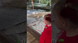 Fiți atenți la crocodil 🐊🌴 ameliaadelia 2sisters celedouăsurori [upl. by Dorita]