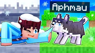 Playing As A BRAVE Husky In Minecraft [upl. by Weiner507]