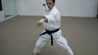 Basic Shotokan Karate Blocks [upl. by Orozco]