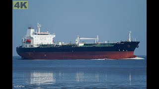 PELAGIC TAIMEN  Shipspotting Germany 🇩🇪 IMO 9350850  River Elbe near City Otterndorf  4K VIDEO [upl. by Ettenoitna]