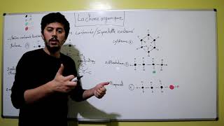 Chimie organique 1 Chaîne carbonéeSquelette carboné  1bac BIOF [upl. by Leba]