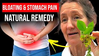 End Bloating and Stomach Pain Fast with This Simple Remedy [upl. by Ameyn7]