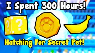 I Spent 300 Hours Hatching For Secret Pet  Pet Simulator 99 Roblox [upl. by Tobye]