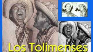 Los Tolimenses  Tambores del Pacande [upl. by Phina197]