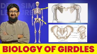 Biology of Girdles  Hindi  Urdu [upl. by Mechling]