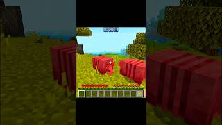 minecraft new pet minecraft shorts [upl. by Libbey806]