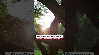 Der Campus der Gaesdonck beeindruckt durch seine Lage an der niederländischen Grenze [upl. by Kathi]