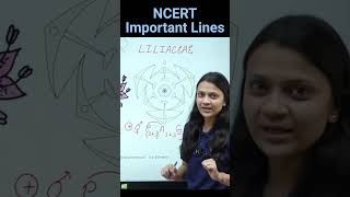 Liliaceae Family  Revision Biology NEET  NCERT important lines for NEET  medicalentrance neet [upl. by Enayr961]