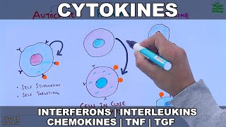 Cytokines  Classification and Functions [upl. by Heall]