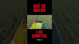 COMO se HACEN los DORITOS en las FÁBRICAS🧀  Parte 2 [upl. by Reisinger]