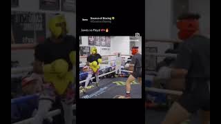 Mayweather sparring [upl. by Eillak528]