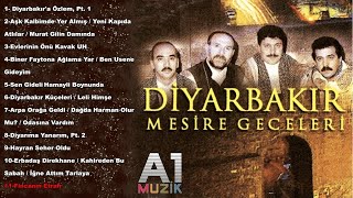 Diyarbakır Mesire Geceleri  Fincanın Etrafı [upl. by Arahsit]