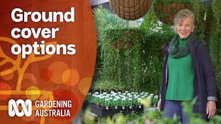 Native groundcover plant options for every garden environment  Gardening 101  Gardening Australia [upl. by Pernas]