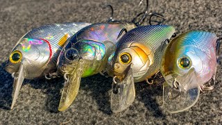 Squarebill Crankbait Tricks You Havent Tried But Your Friends Have [upl. by Atteram]