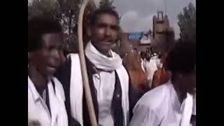 Eritrea 🇪🇷 festival 2001belayin ♥️ habtat zerezghi ni shan di 2001 selfa finukhw ✅️ [upl. by Yenal336]