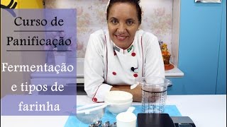 Qual a melhor farinha para fazer pães  aula 1 [upl. by Etnomaj]