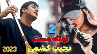 دو آهنگ مست نجیب کشمی گوش کو ناله ها ره دمبوره تیت  Najeeb Keshmi 2 Mast Dambora Songs [upl. by Fleece]