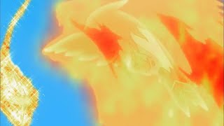 Pokemon Talonflame vs Unfezant [upl. by Airalednac]