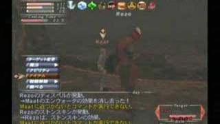 FFXI RDM melee Maat 2004 [upl. by Eigger]