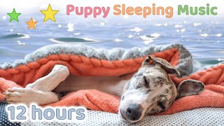 ☆ 12 HOURS ☆ Puppy Sleeping Music  OCEAN sounds 🌊 ♫ Dog Sleep Music 🐶 Relaxing dog music ☆ [upl. by Ettevey794]