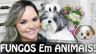 FUNGOS O que é  Como tratar  Cura e Prevenção  Minha Experiência Com Dogs  Veda2 ๏ Lói Cúrcio [upl. by Kelby692]