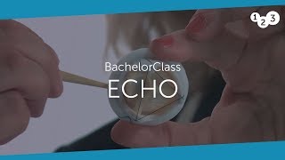 Echo BachelorClass  Your introduction to basic echocardiography [upl. by Ahsei]