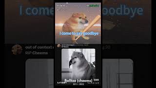 RIP Balltze Cheems 😔  The Best MEME ever shorts memes cheems Balltze backrooms [upl. by Nilved]