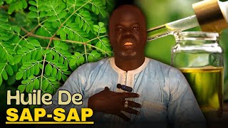 Bienfaits Huile SAPSAP  Pr Ousmane Ndiaye  LansarrTV [upl. by Fifine]