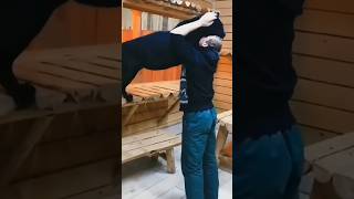 A cat became black panther shorts viralvideo black [upl. by Oirretno]