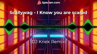 Scallywag  I Know you are scared DJ Kriek Remix [upl. by Egbert]