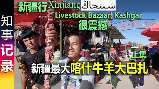 新疆行 很震撼！新疆最大喀什牛羊大巴扎 绝对值得来看看 Cattle and Sheep Bazaar Kashgar Xinjiang 上集 [upl. by Leizahaj]