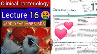 Special Bacteriology lectures3 Gram positive RODS Bacillus clostridum cornybacterium listeria [upl. by Hsiri]