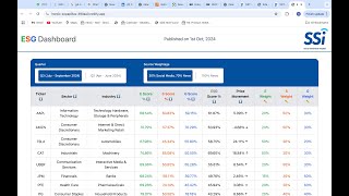 SSi ESG Scoring Framework [upl. by Lede]