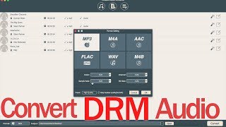 How to Remove DRM Protection in iTunes TunesKit DRM Audio Converter [upl. by Wernick]