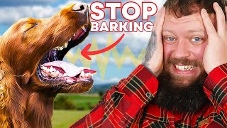 How To Stop Your Dog Barking  You Can Do This Right Now [upl. by Fowle472]