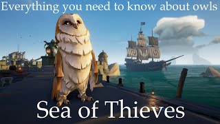 Sea of thieves Everything you need to know about OWLS [upl. by Iana]