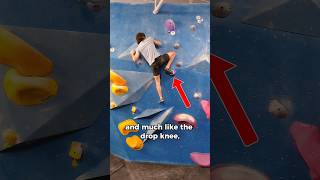 Two Critical Climbing Techniques 💪 climbingtips boulderingtips climbing rockclimber [upl. by Annaerb]