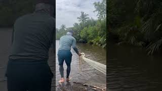 Malaking troso sila namamahay catchingfish fishing trending fish [upl. by Kasper188]