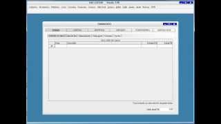 Software para Locadora de Carros [upl. by Acima475]