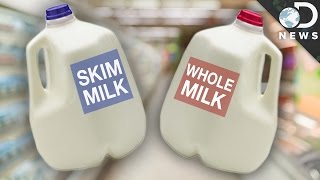 Whole vs Skim Which Milk Is Better For You [upl. by Irollam]