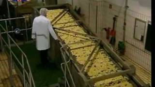 How Its Made Tortilla Chips [upl. by Yenterb]