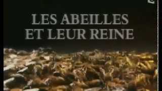 Documentaire Les abeilles et leur reine [upl. by Sheff985]