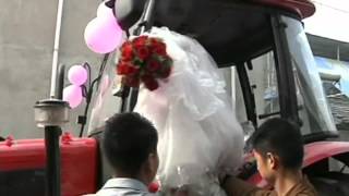 Tractor wedding Wife has unconventional bridal carriage [upl. by Aliled847]