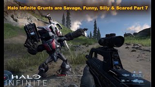 Halo Infinite Grunts are Funny Savage Silly amp scared part 7 [upl. by Gilligan]