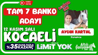 KOCAELİ  Canlı Yayın  Bariyer Dibi  12 Kasım 2024 Salı atyarisi [upl. by Yelrehs]